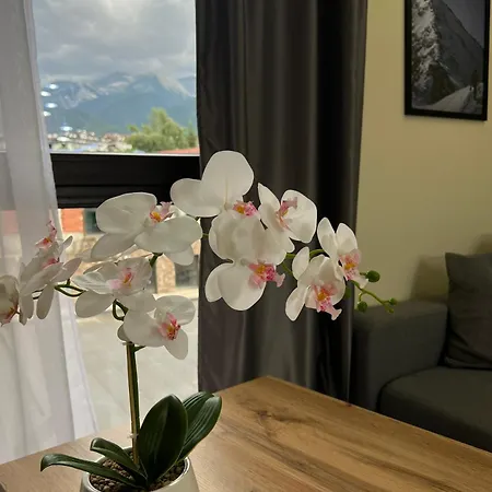 Apartment Grand 1 *